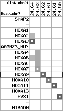 region56, score=2361