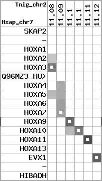 region62, score=2296
