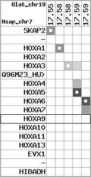 region63, score=1725