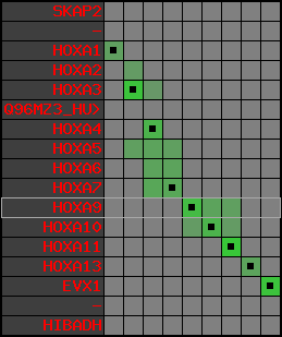 region74, score=3251