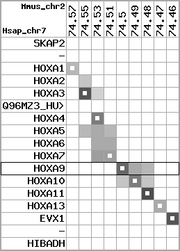 region74, score=3251