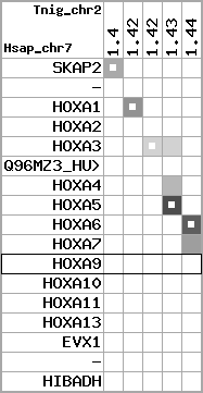 region77, score=1601