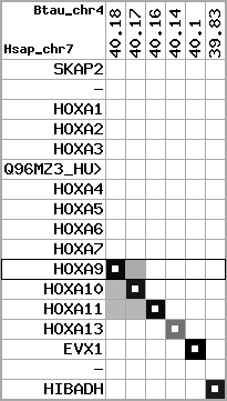 region7, score=5201