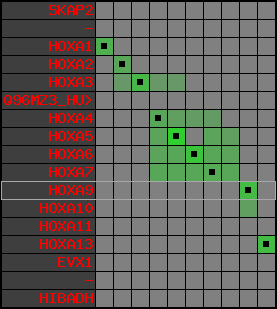 region80, score=3338