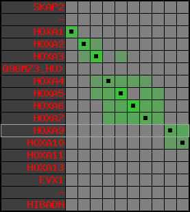 region81, score=3211