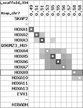 region81, score=3211