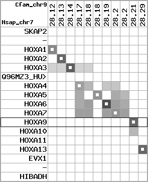 region83, score=3297