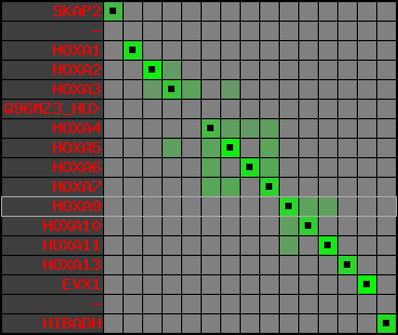 region8, score=9118