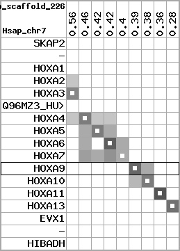 region94, score=3342