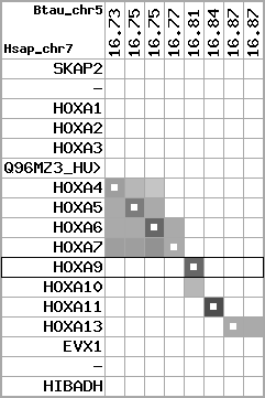 region95, score=2405