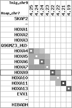 region96, score=2738