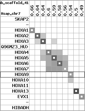 region97, score=3605