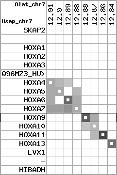 region98, score=2725