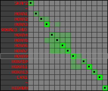 region9, score=7735