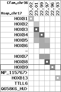 region100, score=1984