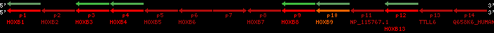 region101, score=1763