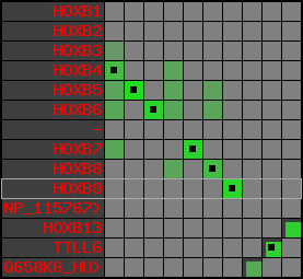 region10, score=4007