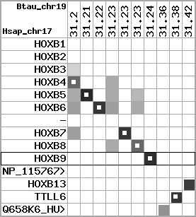 region10, score=4007