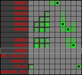 region12, score=2440