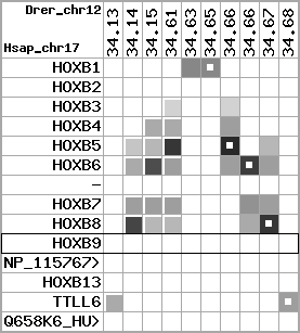 region12, score=2440