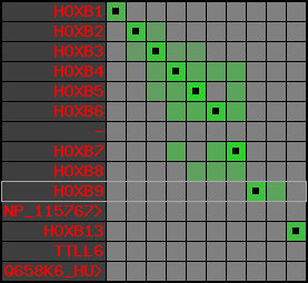 region24, score=4318