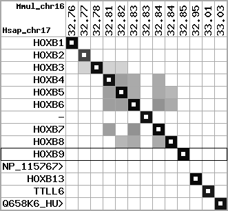 region2, score=11658
