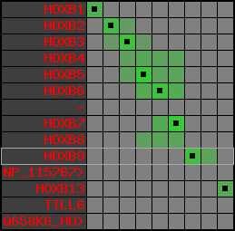 region34, score=3648