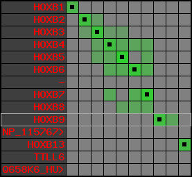 region37, score=4237