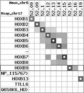 region37, score=4237