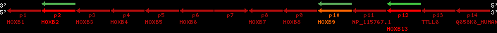 region52, score=1030