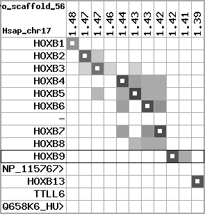 region54, score=4150