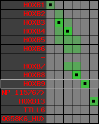 region60, score=2496