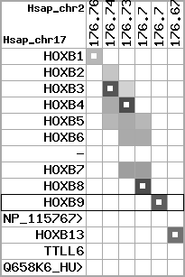 region60, score=2496