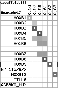 region73, score=2416
