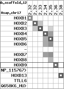 region75, score=2910