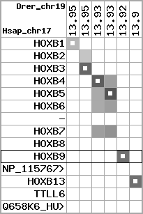 region84, score=2326