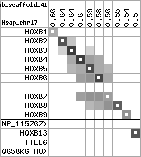 region85, score=4398