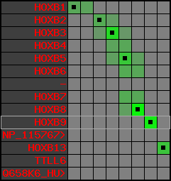 region8, score=3940