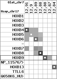 region91, score=2538