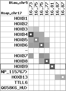 region96, score=2432