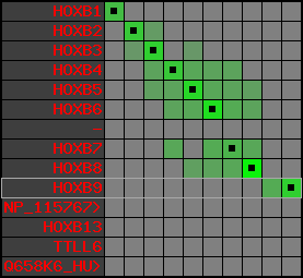 region9, score=5242