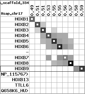 region9, score=5242
