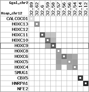 region106, score=4189