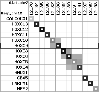 region11, score=7720