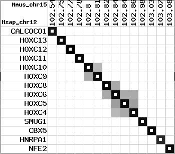 region2, score=13295