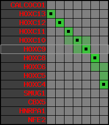 region31, score=3258