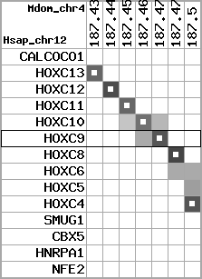 region31, score=3258