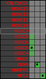 region42, score=1004