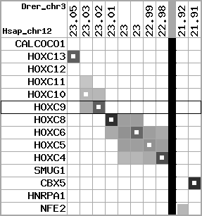 region45, score=3547