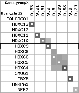 region73, score=3177